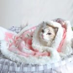 Thick Lamb Fleece Pet Dog Blanket Soft Flannel Cat And Dog Cushion To Keep Warm Cat And Dog Sleeping Blanket Winter Pet Cushion - Image 5